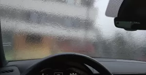 szron, lód, marznący deszcz, gołoledź, mróz