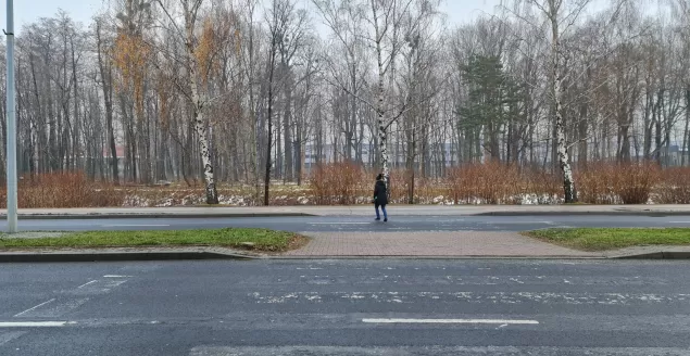 Piesi przekraczający jezdnię w miejscu niedozwolonym - 15.12.2021