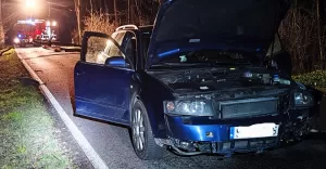 Interwencje strażaków w związku z silnym wiatrem - 13-14.0.2023