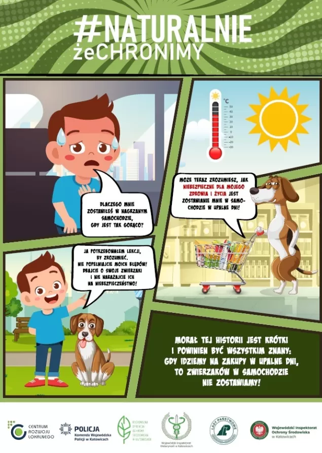Gdy idziemy na zakupy, zwierzaków w aucie nie zostawiamy!