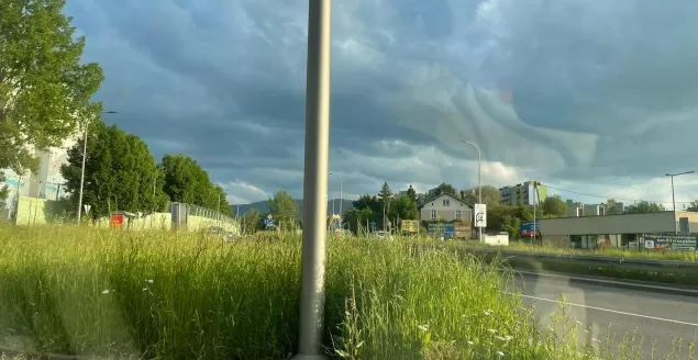 trawa bielsko koszenie utrzymanie pasa zieleni