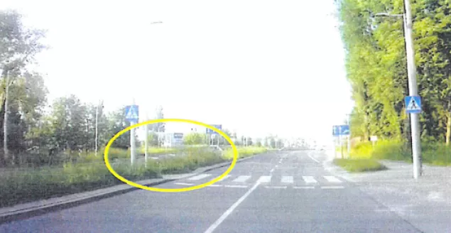 Trawy ograniczają widoczność na drodze - ul. Lwowska