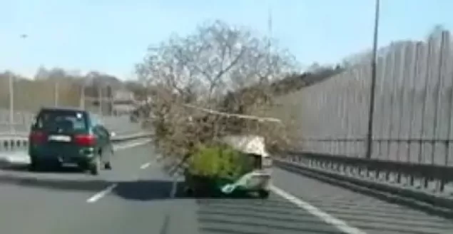 Scenariusz napisało życie ( ͡º ͜ʖ͡º)