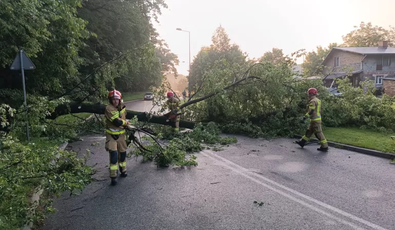Burzowa noc nad Bielskiem-Białą. Strażacy interweniowali 26 razy